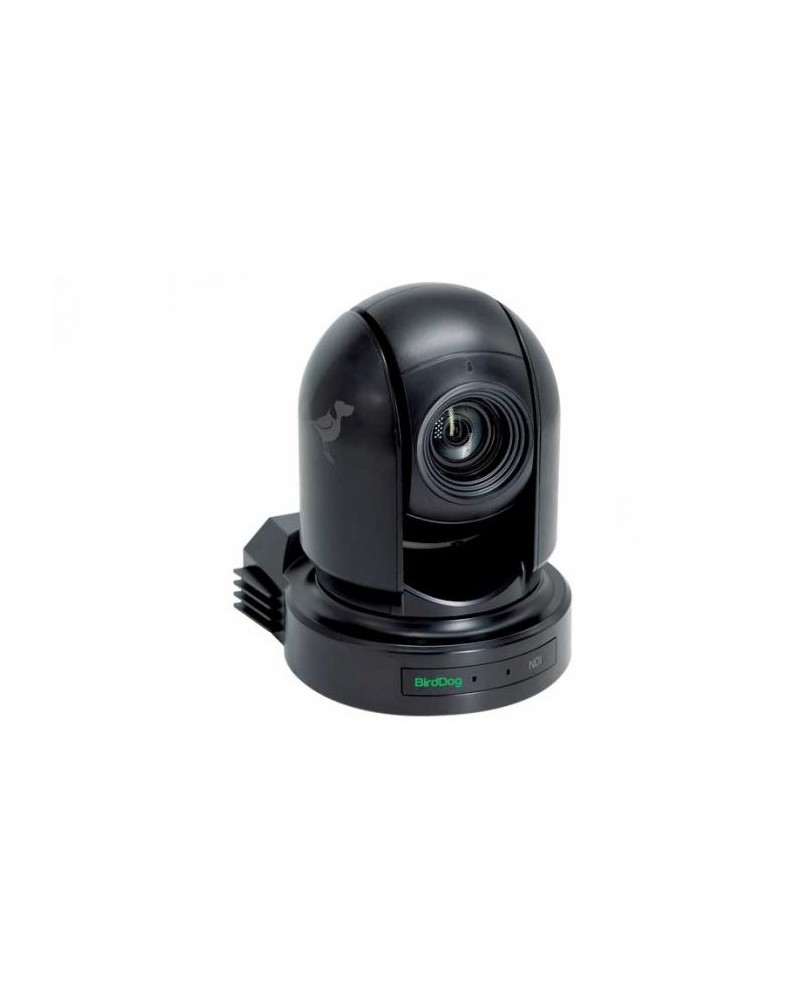Hire BirdDog 3x P200 PTZ + Controller Kit 