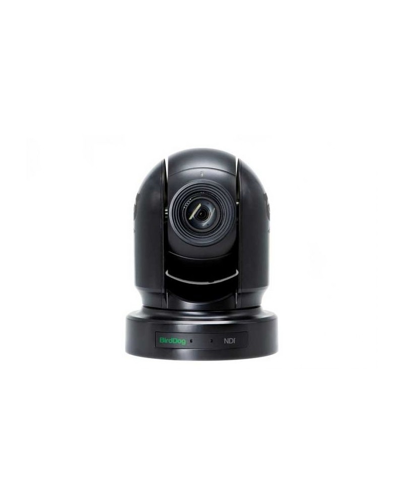 Hire BirdDog 3x P200 PTZ + Controller Kit 