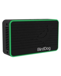 BirdDog Flex 4k Out Unit, Model Flex with Power Supply