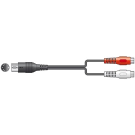 AV Link 5-pin DIN Plug to 2 x RCA Sockets Lead