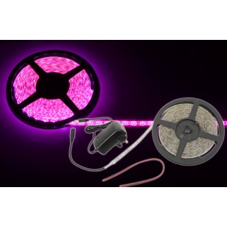 Lyyt DIY-PK60 IP65 DIY LED Tape - 5m Single Colour