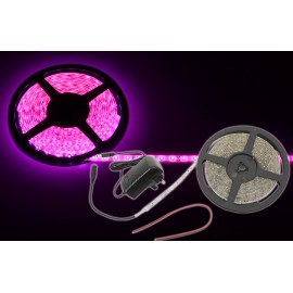 Lyyt DIY-PK60 IP65 DIY LED Tape - 5m Single Colour