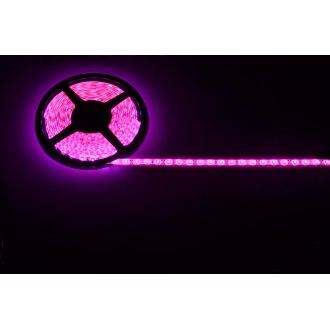 Lyyt DIY-PK60 IP65 DIY LED Tape - 5m Single Colour
