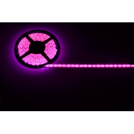 Lyyt DIY-PK60 IP65 DIY LED Tape - 5m Single Colour