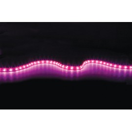 Lyyt DIY-PK60 IP65 DIY LED Tape - 5m Single Colour