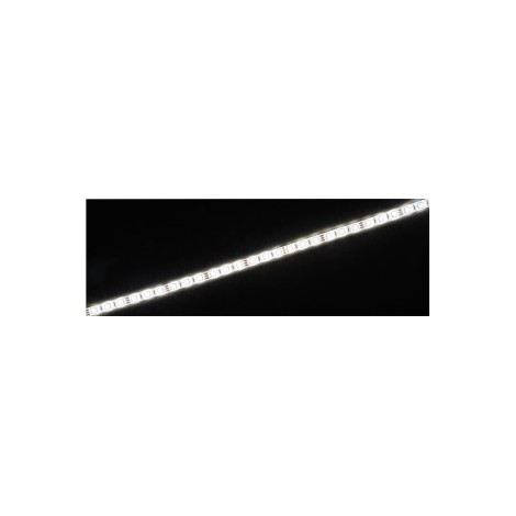 Fluxia LT12560-CCT 12V Warm & Cool White LED Tape - 5m Reel