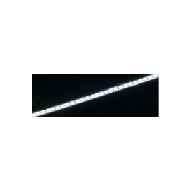 Fluxia LT12560-CCT 12V Warm & Cool White LED Tape - 5m Reel
