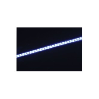 Fluxia LT12560-RGBW 12V Quad Colour RGBW LED Tape - 5m Reel