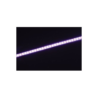 Fluxia LT12560-RGBW 12V Quad Colour RGBW LED Tape - 5m Reel