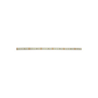 Fluxia LT245120-WW 24V High Output LED Tape - 5m Reel