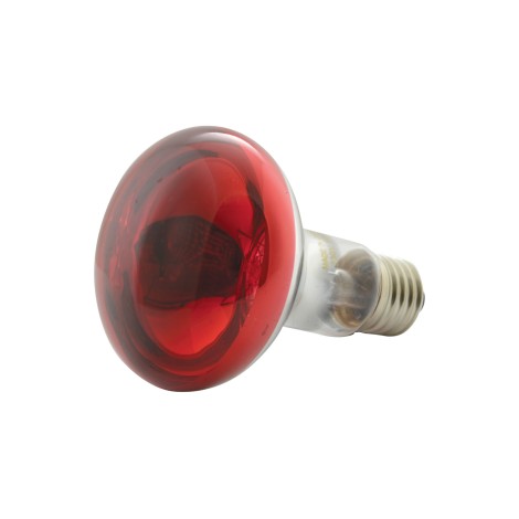 QTX R80 Coloured Reflector Lamps