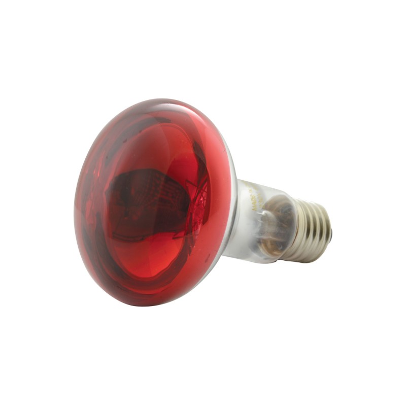 QTX R80 Coloured Reflector Lamps