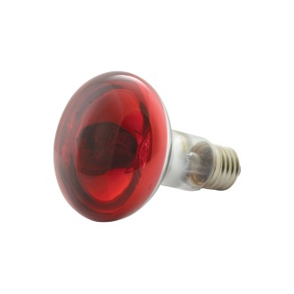 QTX R80 Coloured Reflector Lamps