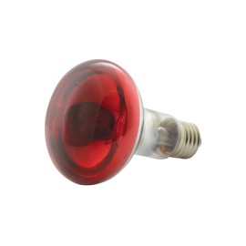 QTX R80 Coloured Reflector Lamps
