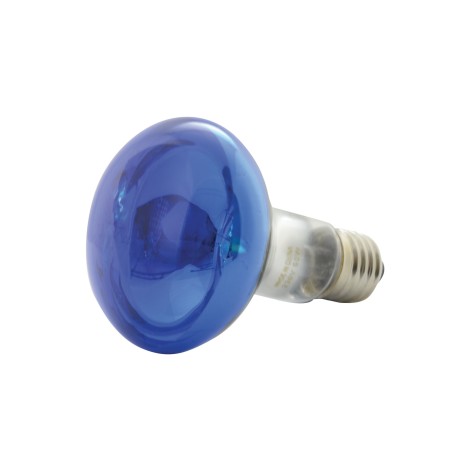QTX R80 Coloured Reflector Lamps