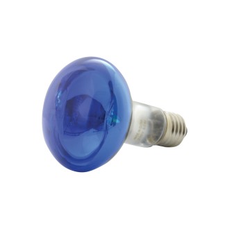 QTX R80 Coloured Reflector Lamps