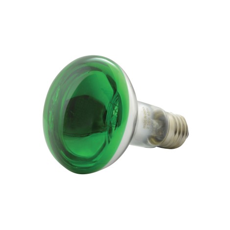 QTX R80 Coloured Reflector Lamps