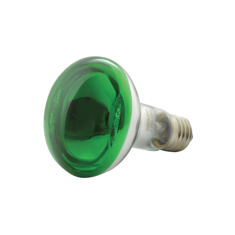 QTX R80 Coloured Reflector Lamps