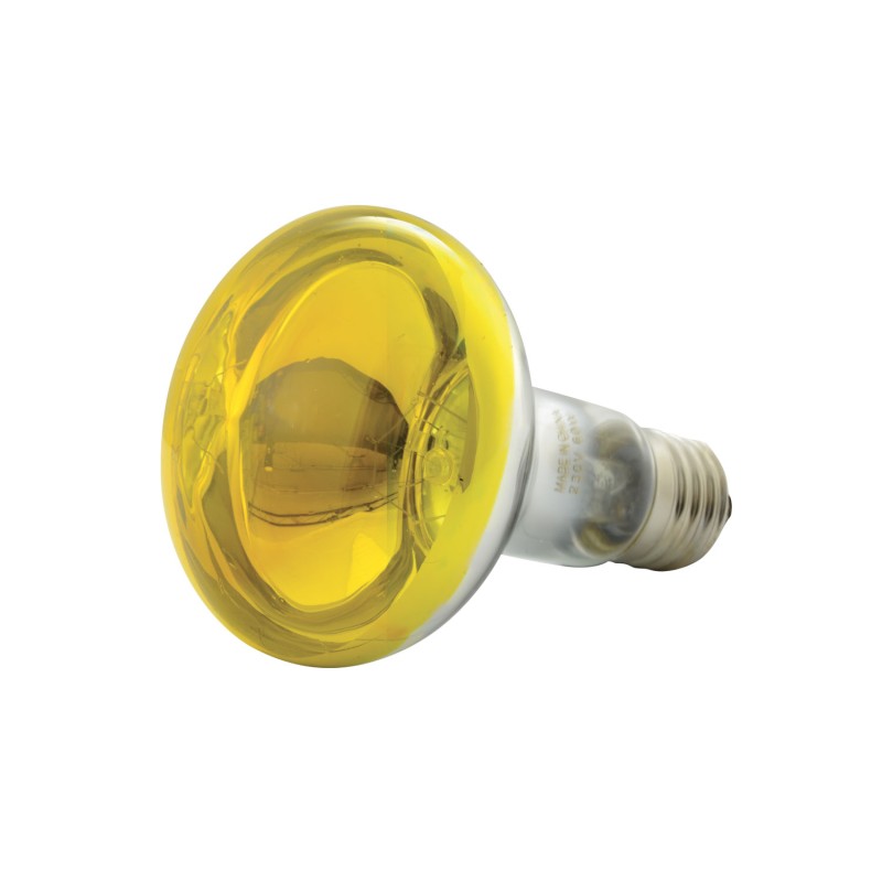 QTX R80 Coloured Reflector Lamps