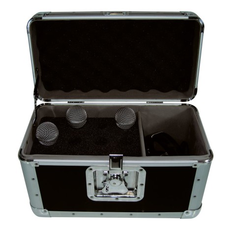 Accu Case ACF-SW/Microphone case