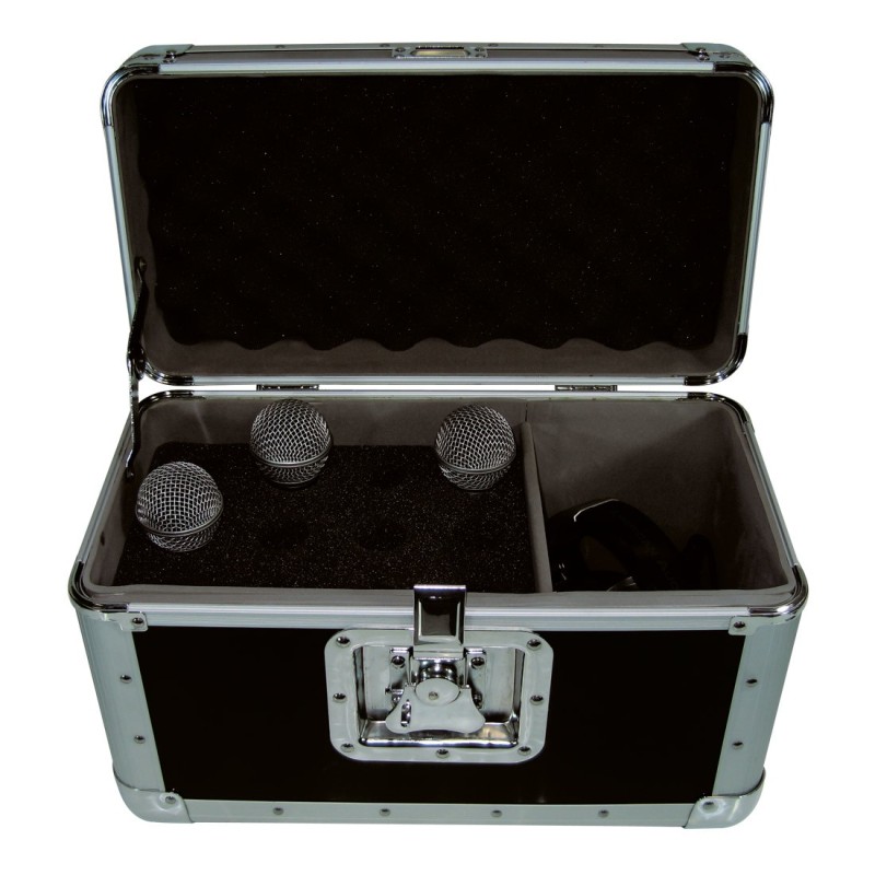Accu Case ACF-SW/Microphone case