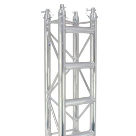 F34 PL 3.0m Truss Ladder