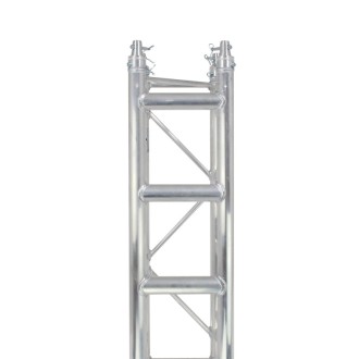 F34 PL 3.0m Truss Ladder
