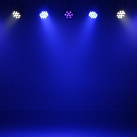 Intense 9HEX10 LED Slim Par White Housing