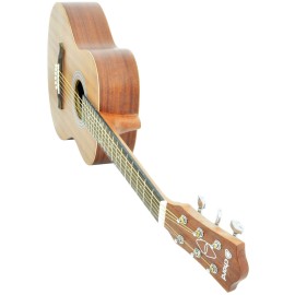 Chord Sapele compact acoustic guitar