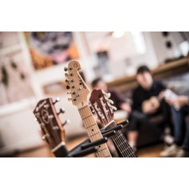 Chord Sapele compact acoustic guitar