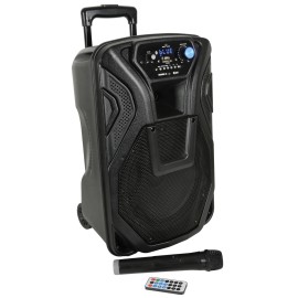 Qtx Busker-10 PA + 1 x VHF mics + USB/SD/FM/BT
