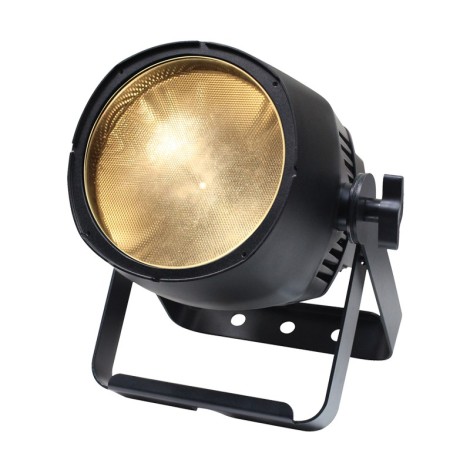 Endura WW100 COB Exterior Fixture