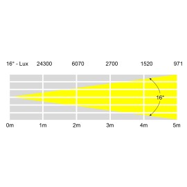 Endura WW100 COB Exterior Fixture