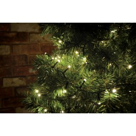 Lyyt 200 LED String Lights with Timer Control WW