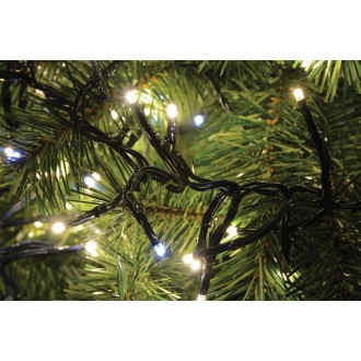 Lyyt 240LED Static Twinkle Cluster Light WW