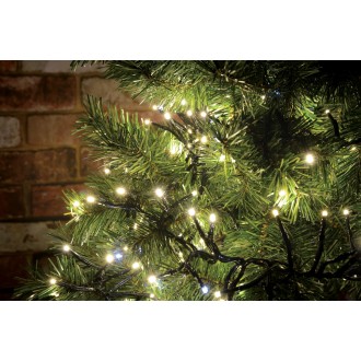 Lyyt 240LED Static Twinkle Cluster Light WW