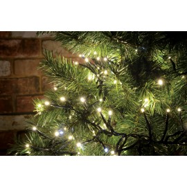 Lyyt 240LED Static Twinkle Cluster Light WW
