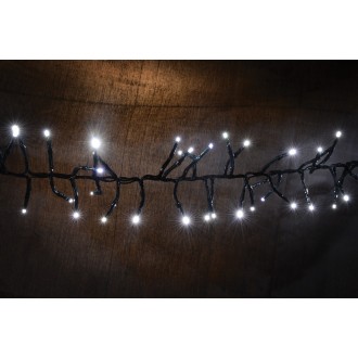 Lyyt 240LED Static Twinkle Cluster Light CW