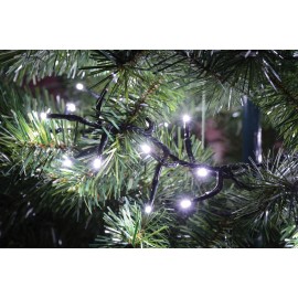Lyyt 240LED Static Twinkle Cluster Light CW