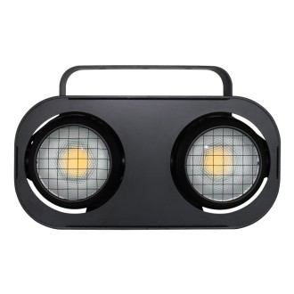 Fury 200 DTW 2 Cell Blinder