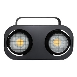 Fury 200 DTW 2 Cell Blinder
