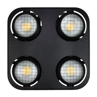 Fury 2400 DTW 4 Cell Blinder