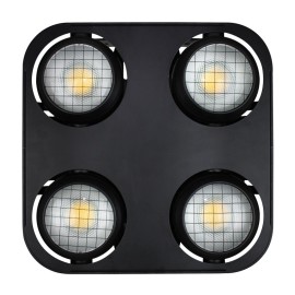 Fury 2400 DTW 4 Cell Blinder