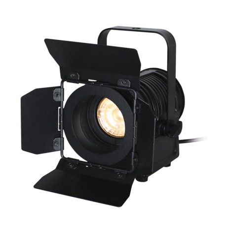 MP 15 LED Fresnel DTW