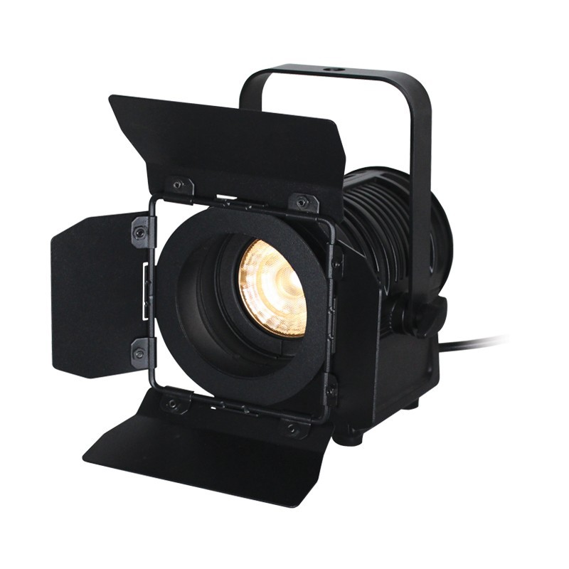 MP 15 LED Fresnel DTW
