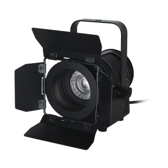 MP 15 LED Fresnel DTW