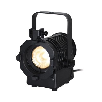 MP 15 LED Fresnel DTW