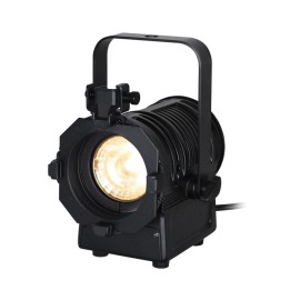 MP 15 LED Fresnel DTW
