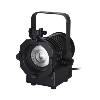 MP 15 LED Fresnel DTW