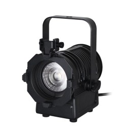 MP 15 LED Fresnel DTW